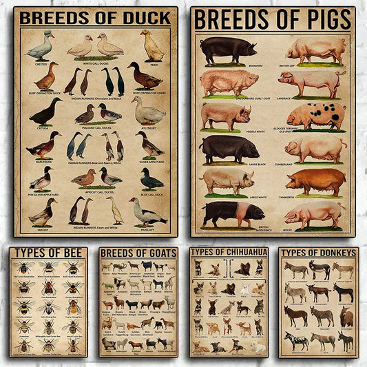 Animal Breeds